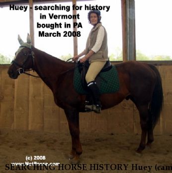 SEARCHING HORSE HISTORY Huey (came with this name), Near Springfield, VT, 05156